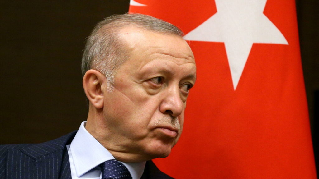 1661651056_recep-tayyip-erdogan-foto-ansa-3.jpg