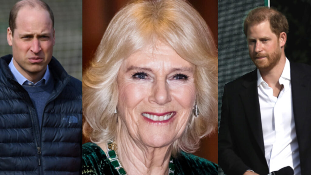 1661853646_camilla-harry-william-2.jpg
