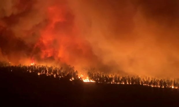 Les flammes engloutissent les arbres près de Hostens