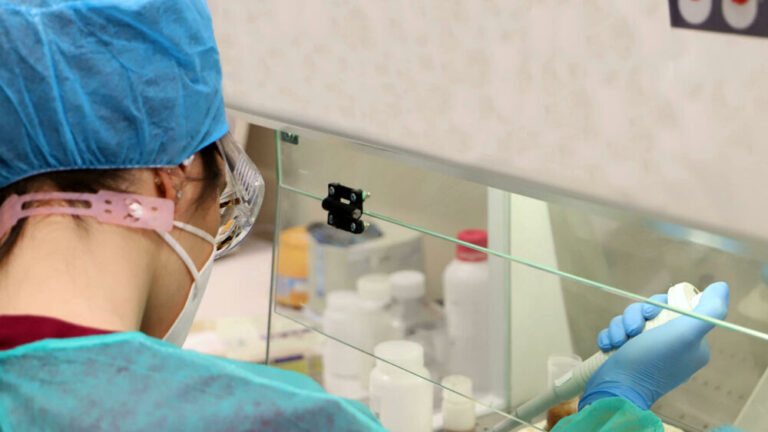 1665340195_laboratorio-ansa-2.jpg