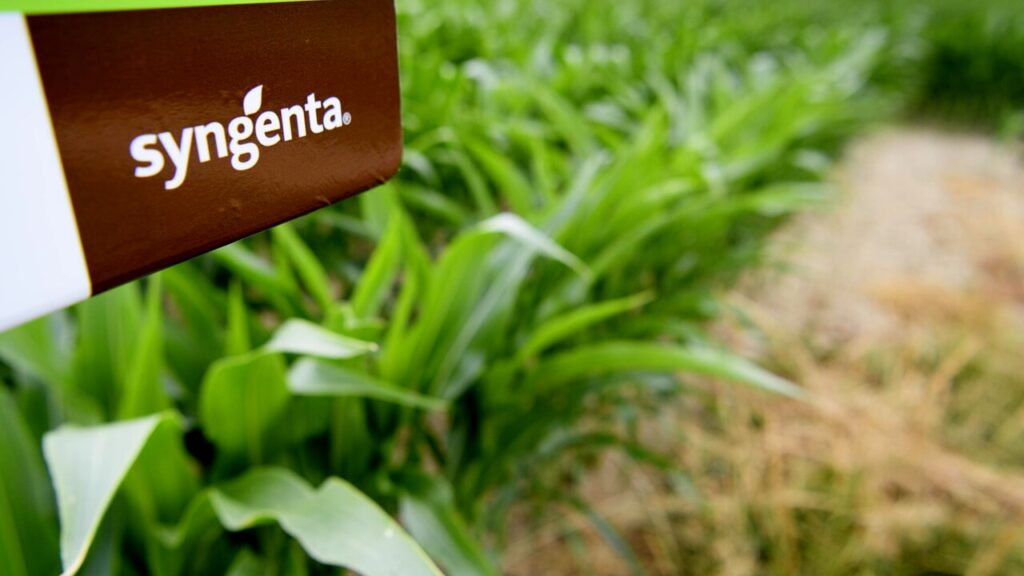 syngenta-2.jpg