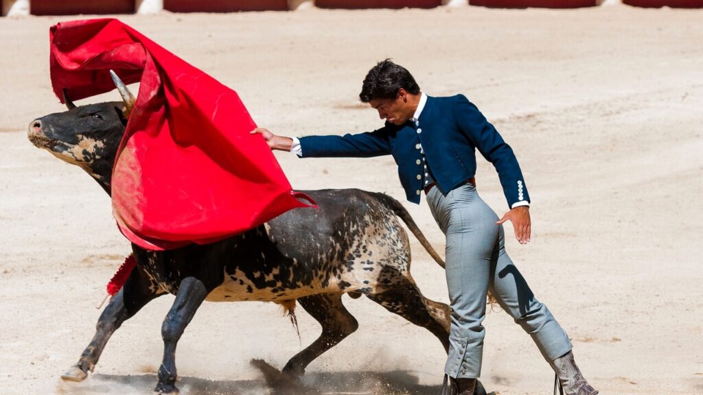 corrida-3.jpg