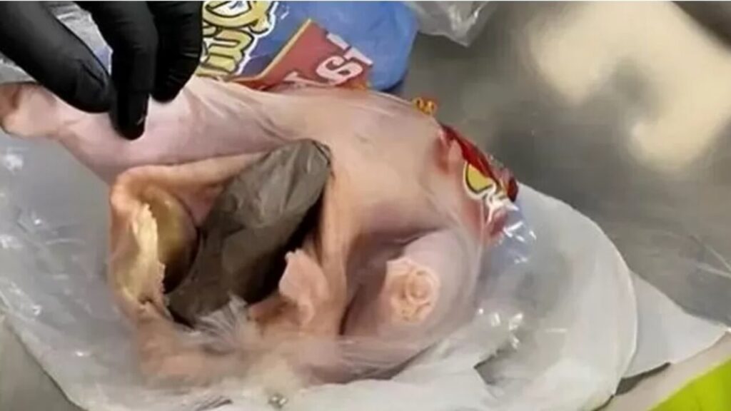 pistola-nascosta-pollo-crudo.jpg
