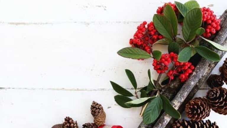 1669954348_matrimonio-a-natale-2.jpeg
