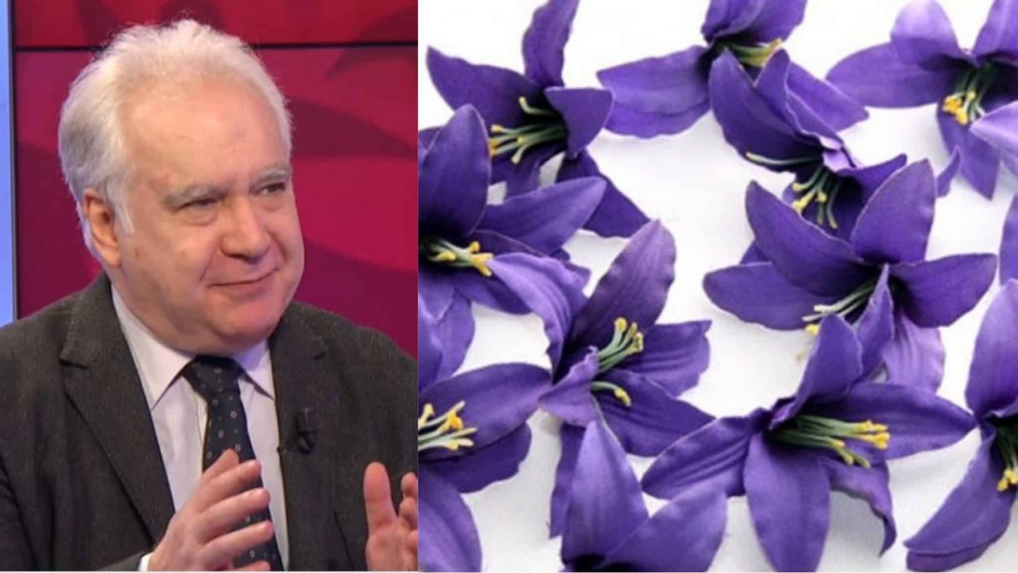 Déconcerté et son grand amour pour la Fiorentina, ses funérailles seront pleines de lys violets