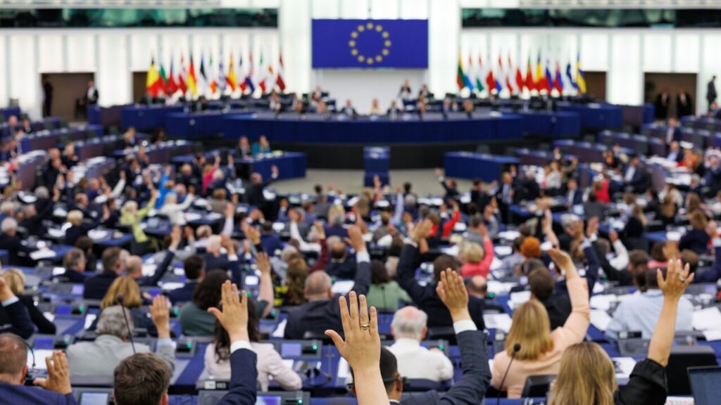 voto-parlamento-europeo-3.jpg